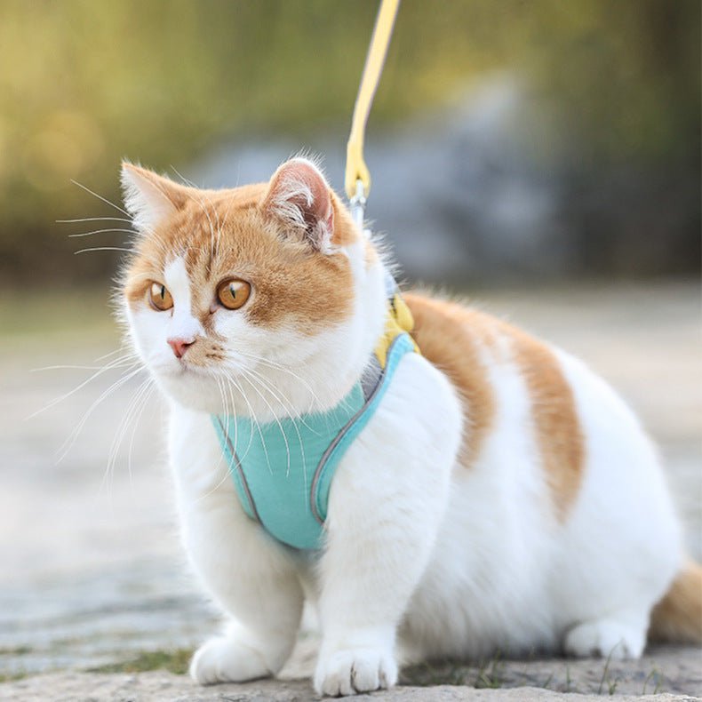 cat walking rope, cat traction rope, vest styles chest Green / M Cat Walking Rope CJMY108016204DW