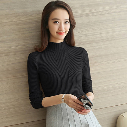 Turtleneck Sweater Ladies Knitted Sweater