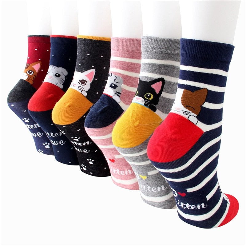 MULTI women's cotton socks colorful cat stripped 5Pairs/set 14:200003699
