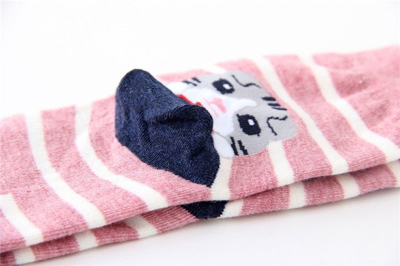 women's cotton socks colorful cat stripped 5Pairs/set