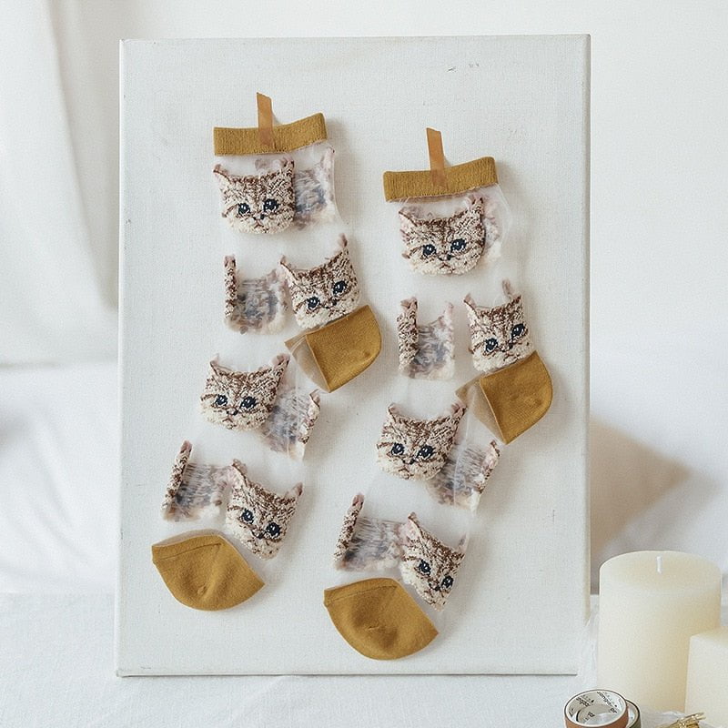 Transparent cat socks /lot(6pairs)