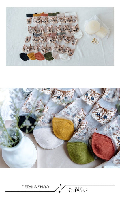 Transparent cat socks /lot(6pairs)