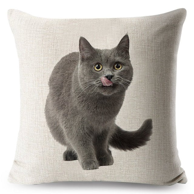 cat pillow cases, pilow cases, cat cushion cover 450mm*450mm / 1 Funny Cat Pillowcases CKP:0065542298006