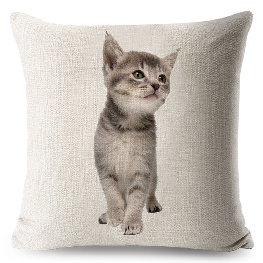 cat pillow cases, pilow cases, cat cushion cover 450mm*450mm / 10 Funny Cat Pillowcases CKP:0065542298006