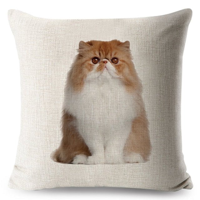cat pillow cases, pilow cases, cat cushion cover 450mm*450mm / 2 Funny Cat Pillowcases CKP:0065542298006
