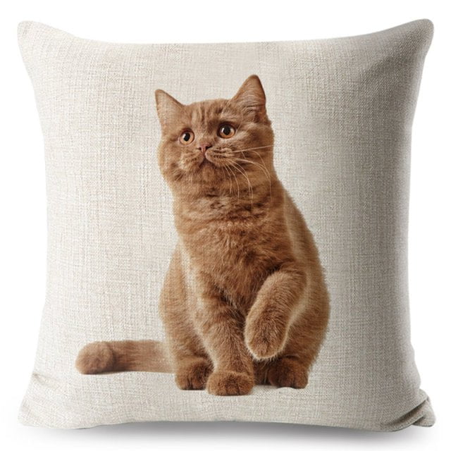 cat pillow cases, pilow cases, cat cushion cover 450mm*450mm / 3 Funny Cat Pillowcases CKP:0065542298006