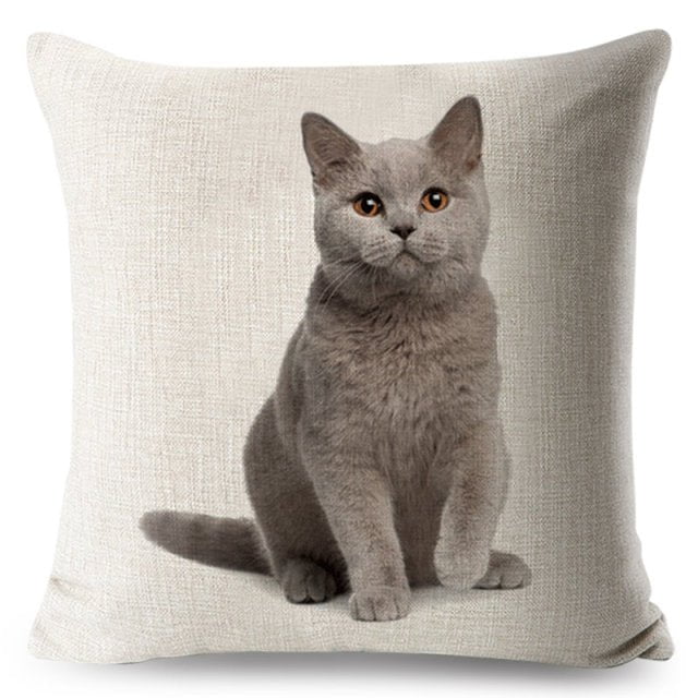 cat pillow cases, pilow cases, cat cushion cover 450mm*450mm / 4 Funny Cat Pillowcases CKP:0065542298006
