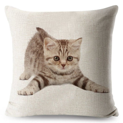 cat pillow cases, pilow cases, cat cushion cover 450mm*450mm / 5 Funny Cat Pillowcases CKP:0065542298006