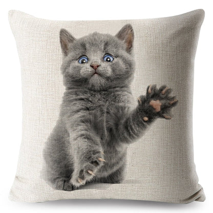 cat pillow cases, pilow cases, cat cushion cover 450mm*450mm / 6 Funny Cat Pillowcases CKP:0065542298006