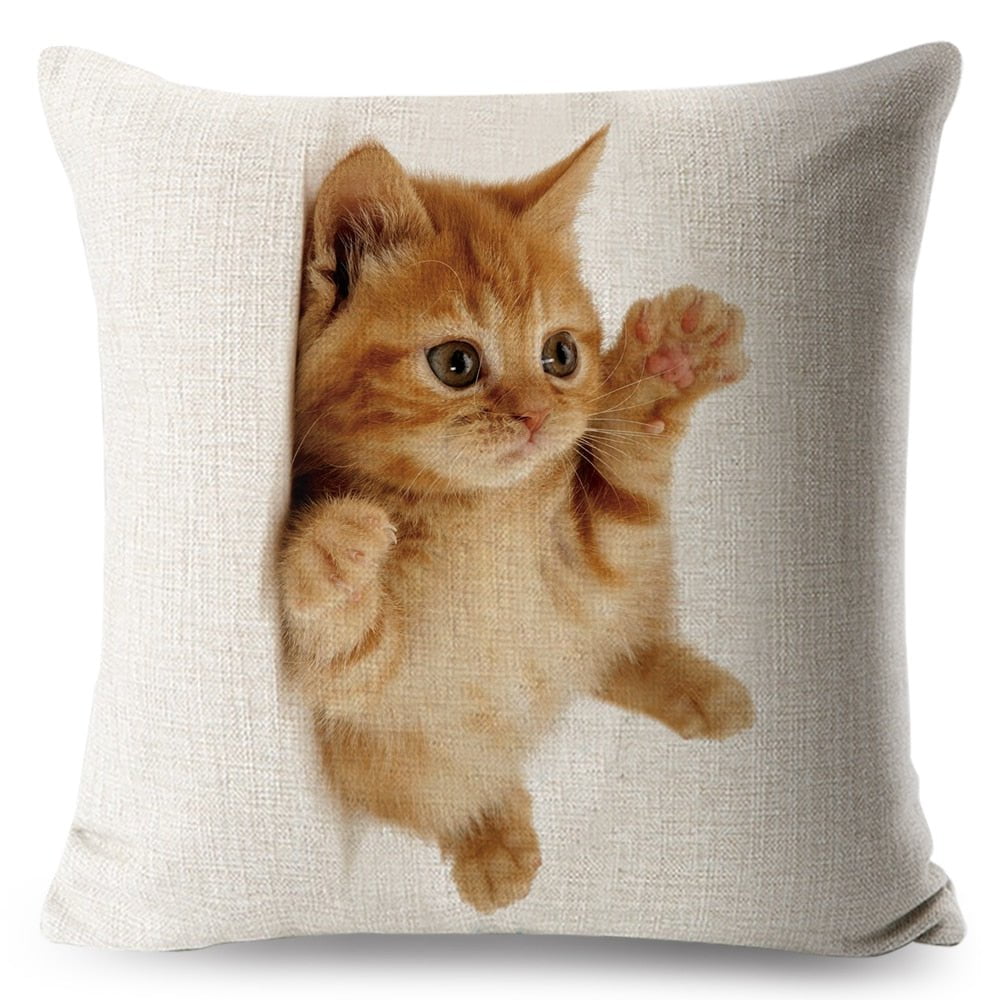 cat pillow cases, pilow cases, cat cushion cover 450mm*450mm / 7 Funny Cat Pillowcases CKP:0065542298006