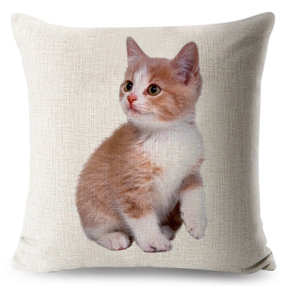 cat pillow cases, pilow cases, cat cushion cover 450mm*450mm / 8 Funny Cat Pillowcases CKP:0065542298006