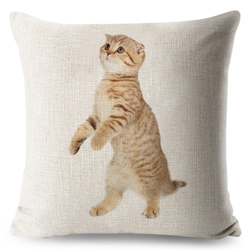 cat pillow cases, pilow cases, cat cushion cover 450mm*450mm / 9 Funny Cat Pillowcases CKP:0065542298006